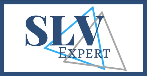 logo-slvexpert